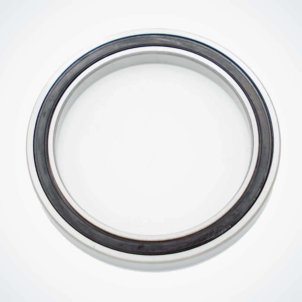 Dualtron Storm Motor Bearing