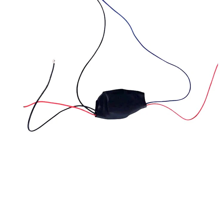 Speedway Leger DC Converter